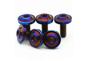 China DIY Titanium Nuts And Bolts Screw Torx Head Titanium Fastener Anti Corrosion supplier