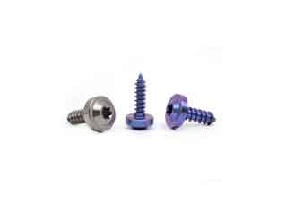 China Motorcycle Titanium Bolts Screws M5 M6 M8 Titanium Self Tapping Screws supplier