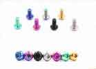 China Disk Brake Rotor Bolts Torx Titanium Bicycle Parts fastenners bolts M5 x 10mm factory