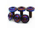China DIY Titanium Nuts And Bolts Screw Torx Head Titanium Fastener Anti Corrosion company