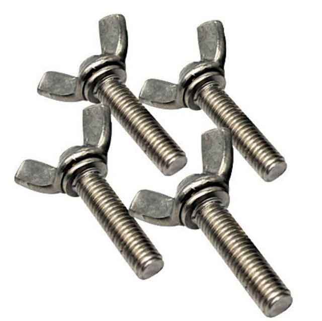 Silver Color Metric Titanium Screws Wing Bolt And Nut Customized For Motorcycle