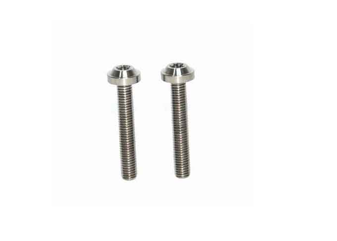 Bicycle Titanium Screws Fasteners Torx Head Bolts DIY Titanium Bolts 2 PCS